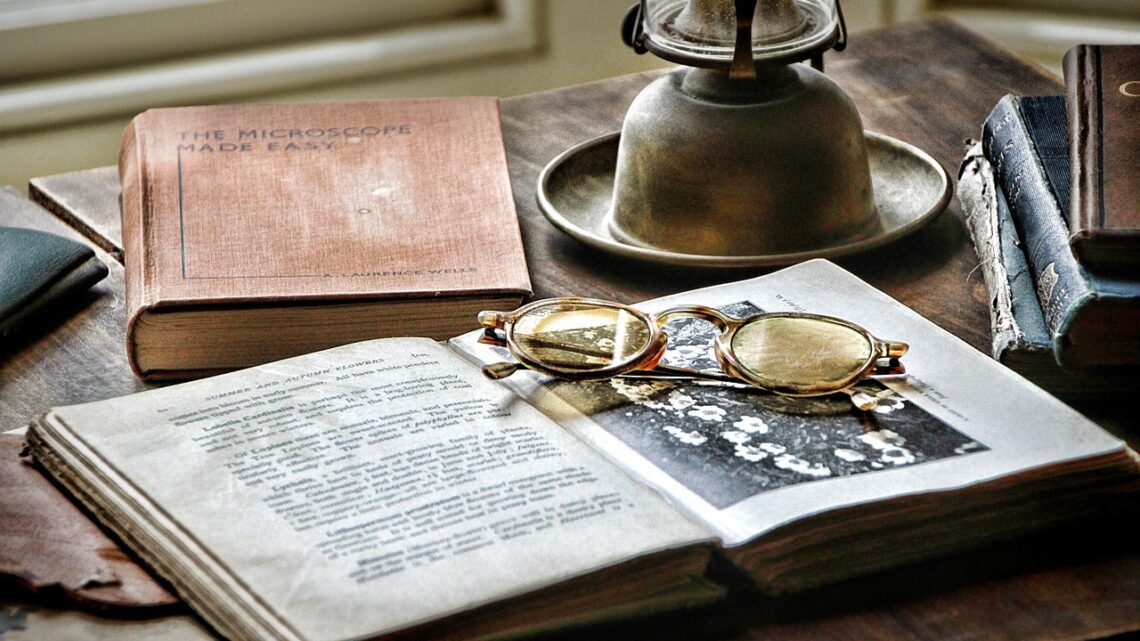 Baumhaushotels als Inspirationsquelle: Schreiben im Herzen der Natur